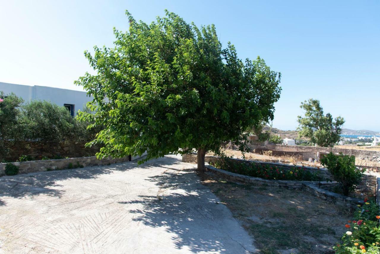 Villa Tonia Παράσπορος Εξωτερικό φωτογραφία