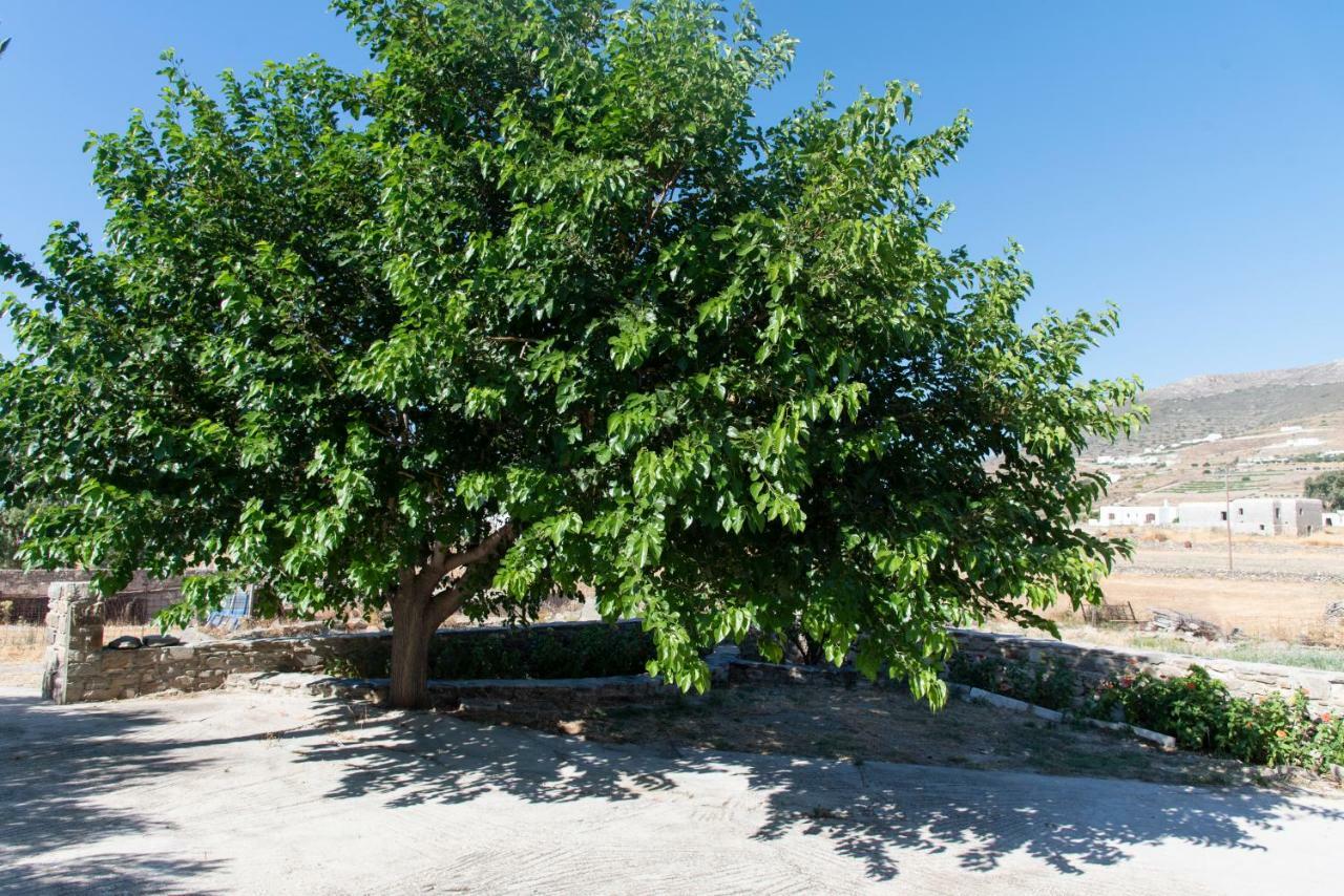 Villa Tonia Παράσπορος Εξωτερικό φωτογραφία